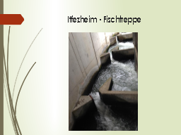 Iffezheim - Fischtreppe